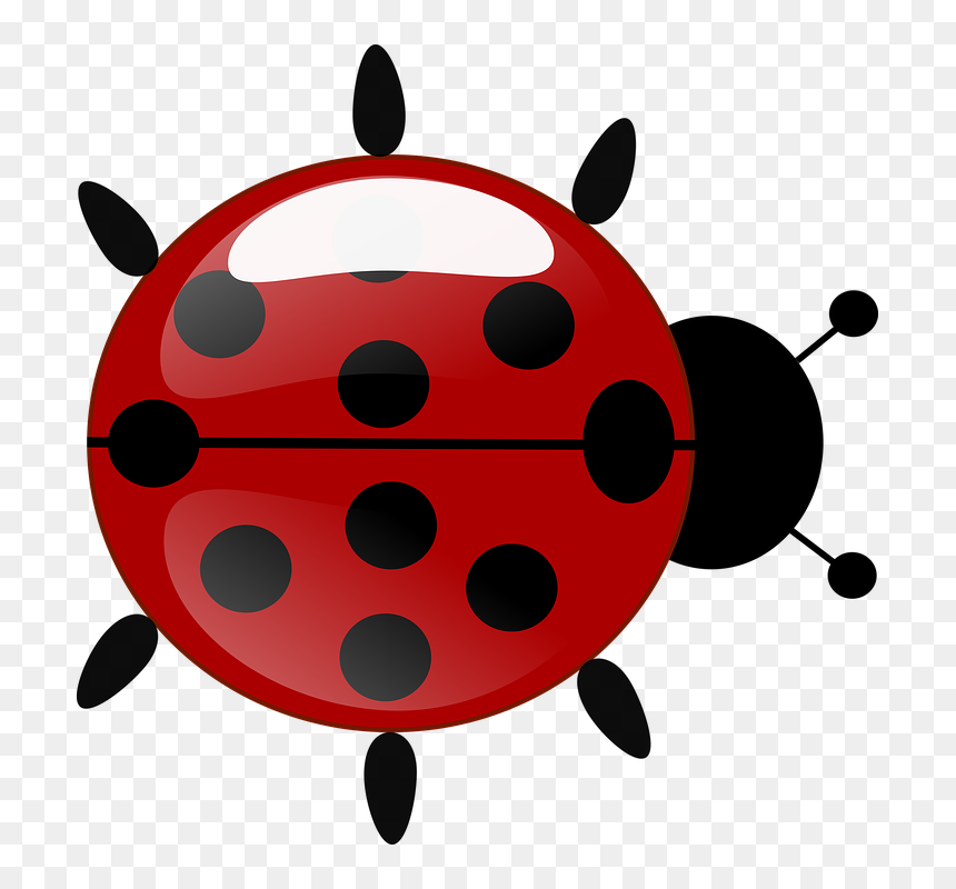 Cute Ladybug Clipart 13, Buy Clip Art - Joaninha Da Ladybug Em Png, Transparent Png - cute ladybug png