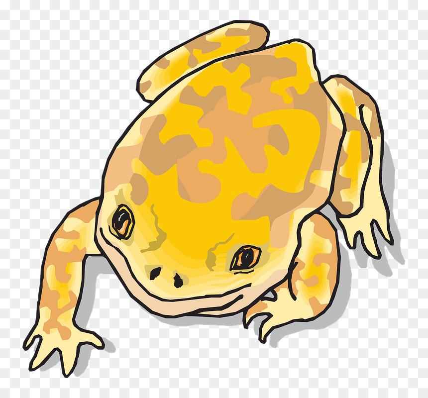 Jungle Clipart Frog - Yellow Clipart Frog, HD Png Download - cartoon frog png