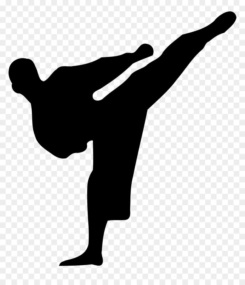 Karate Kickboxing Martial Arts - Silhouette Karate Kick, HD Png Download - cheering crowd png