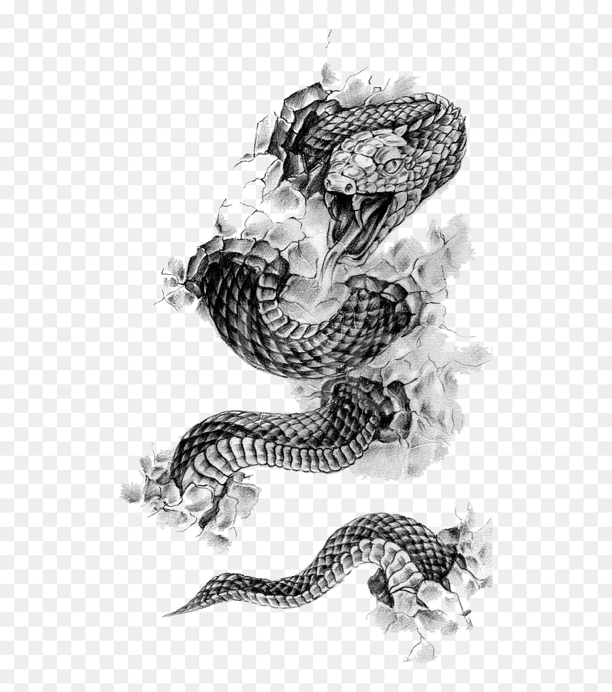 Rattlesnake Tattoo Flash Black And Gray - Black Snake Tattoo Designs, HD Png Download - black flash png