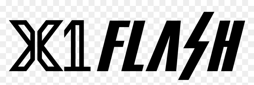 X1 Flash Logo Png, Transparent Png - black flash png