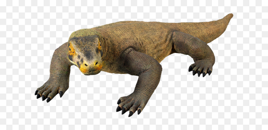 Komodo Dragon Png Picture - Komodo Dragon Gif Png, Transparent Png - komodo dragon png