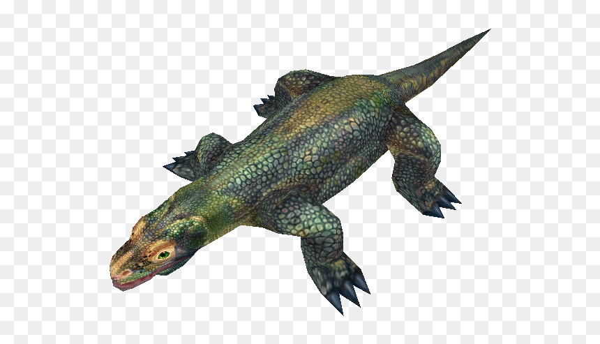Alligator, HD Png Download - komodo dragon png