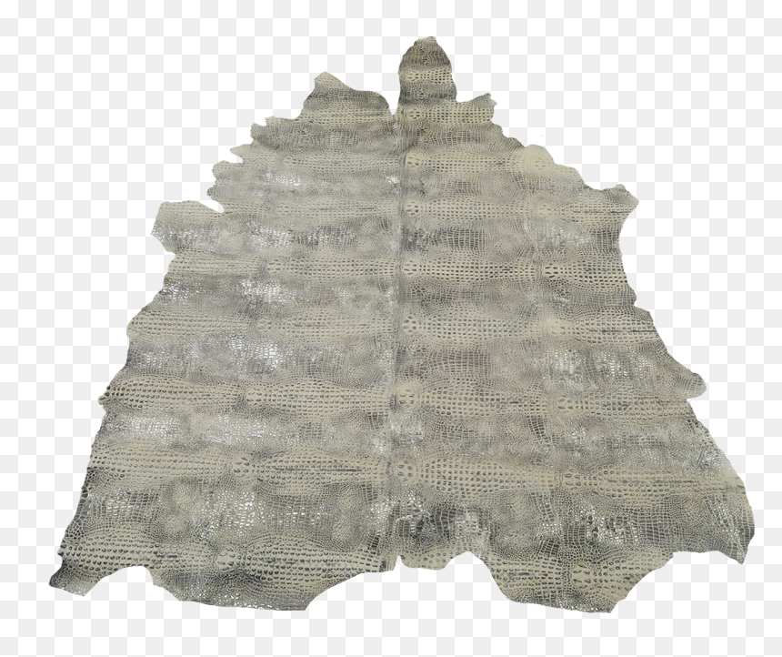 Animal Kingdom - Komodo Dragon - Komodo Dragon Hide, HD Png Download - komodo dragon png