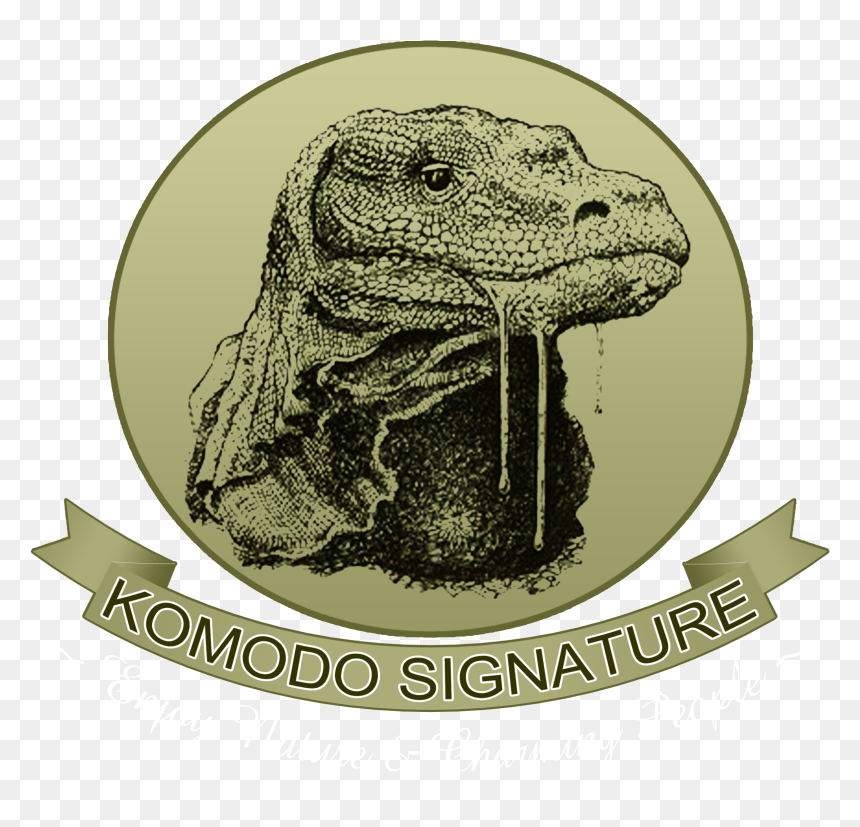 Punxsutawney Phil, HD Png Download - komodo dragon png