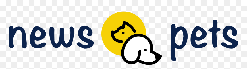 Clip Art, HD Png Download - komodo dragon png