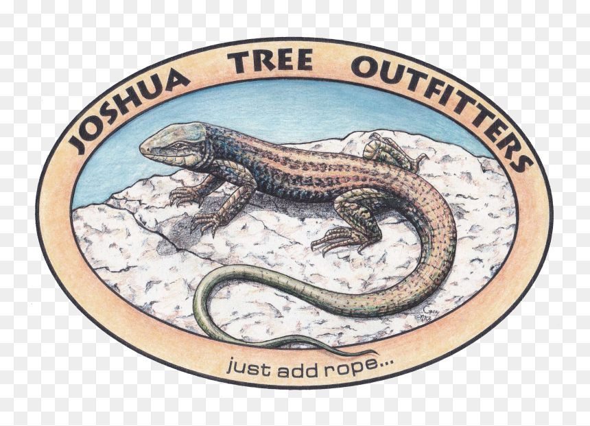 Alligator Lizard, HD Png Download - komodo dragon png