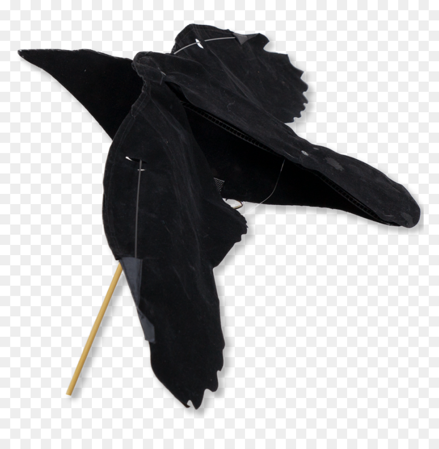 Image Of The Sillosocks Crow Flapper - Sillosock Crow Flapper, HD Png Download - flapper png