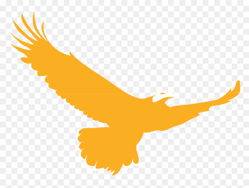 Golden Eagle Clipart Native American, HD Png Download - golden eagle png