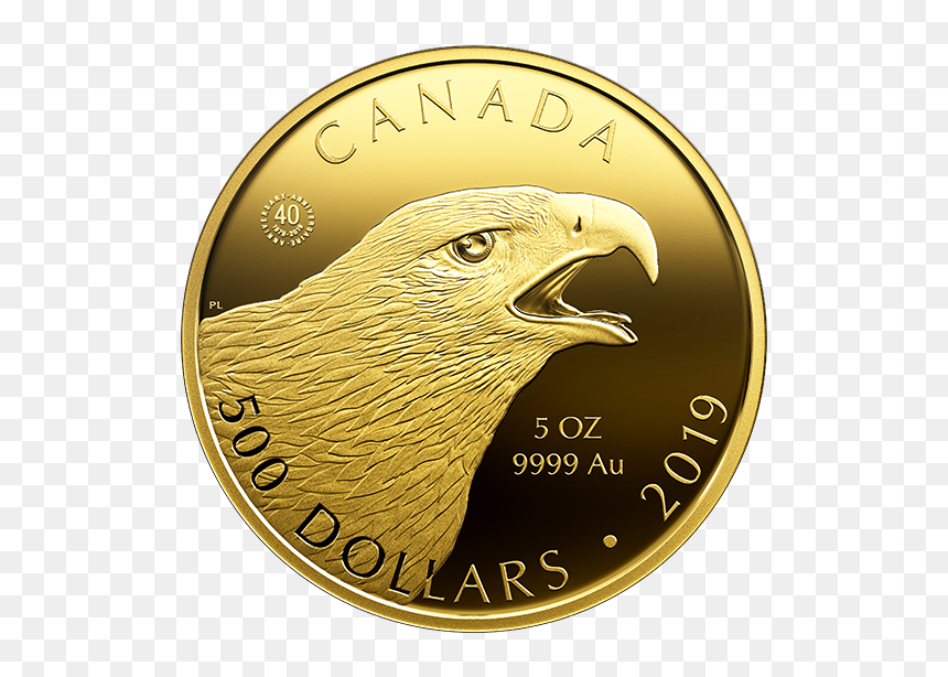 Gold Coin Eagle Canada, HD Png Download - golden eagle png