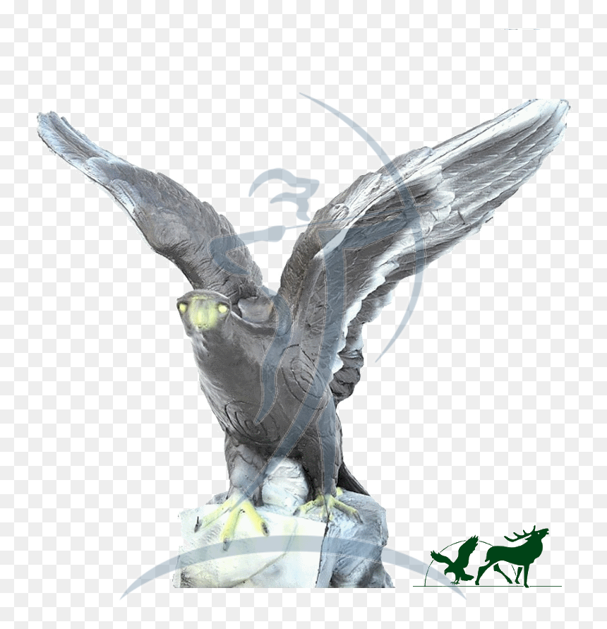 Leitold 3d-target Golden Eagle - Buzzard, HD Png Download - golden eagle png