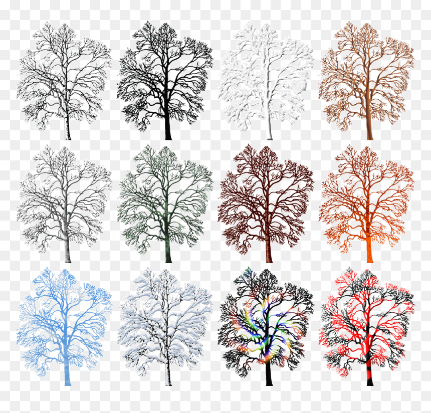 White Pine, HD Png Download - winter trees png