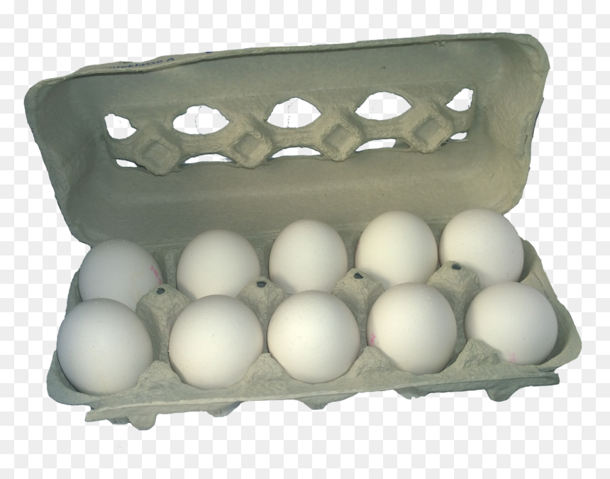 Carton Of Eggs Transparent, HD Png Download - egg carton png