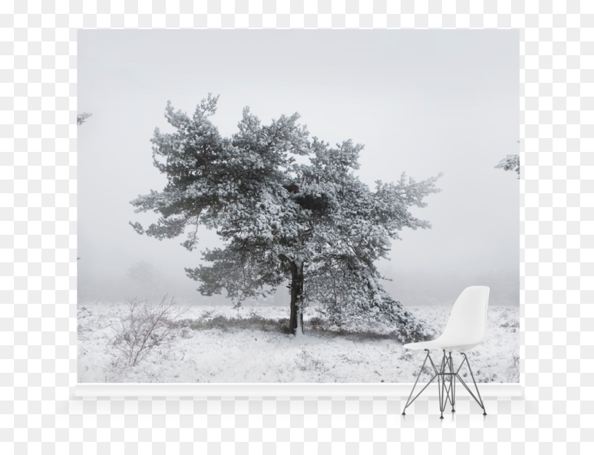 Tree, HD Png Download - winter trees png