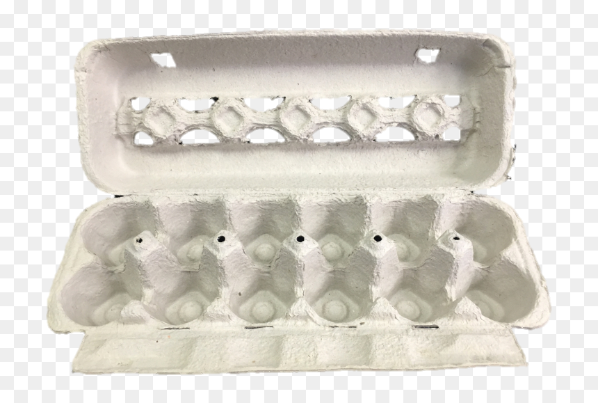 Manatee, HD Png Download - egg carton png