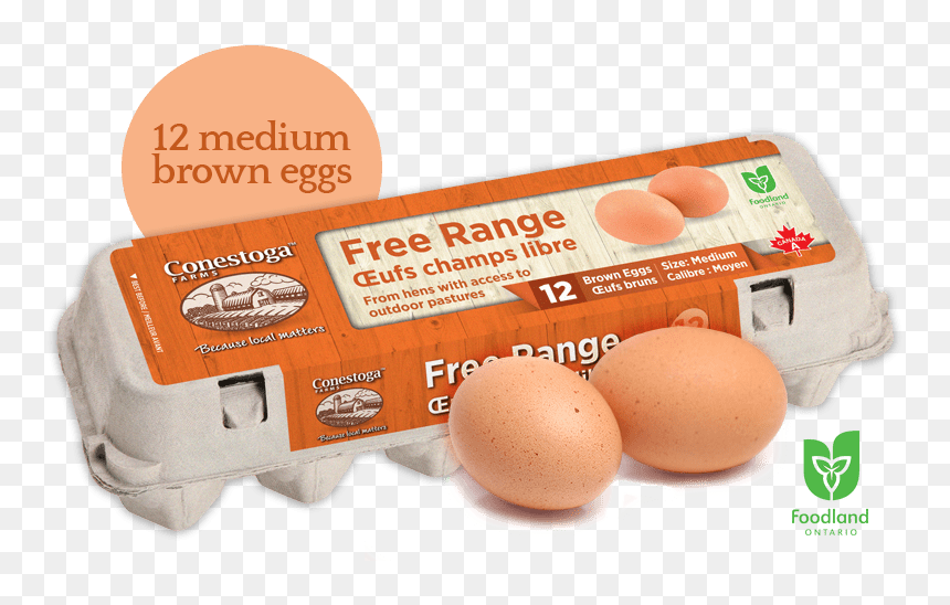 Freerange Lrg Min - Free Range Eggs Png, Transparent Png - egg carton png