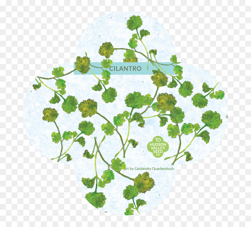 Seed, HD Png Download - groundcover png