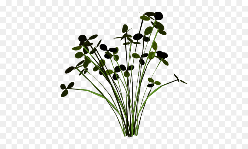 #grass #groundcover #scenery #terrieasterly - Buttercup, HD Png Download - groundcover png