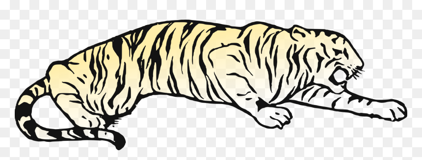 Whiskers Cat Golden Tiger Bear Bengal Tiger - Tiger Pouncing Coloring Pages, HD Png Download - bengal tiger png