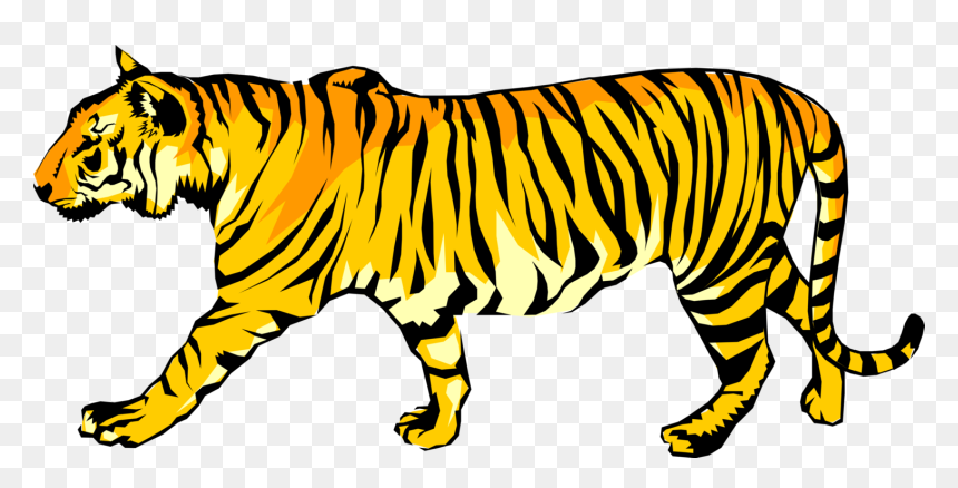 Vector Illustration Of Royal Bengal Tiger From From - Royal Bengal Tiger Clipart, HD Png Download - bengal tiger png