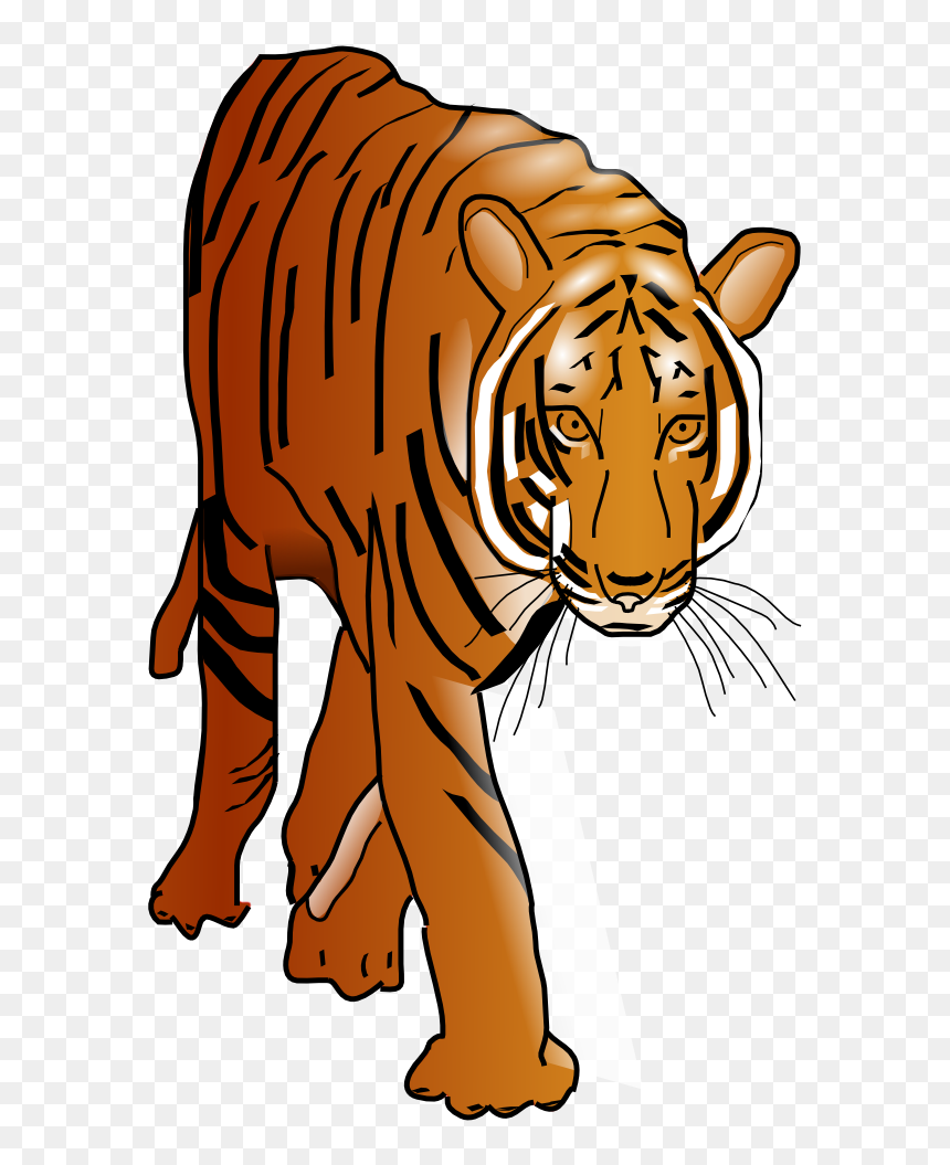 Tiger - Tiger Clip Art, HD Png Download - bengal tiger png
