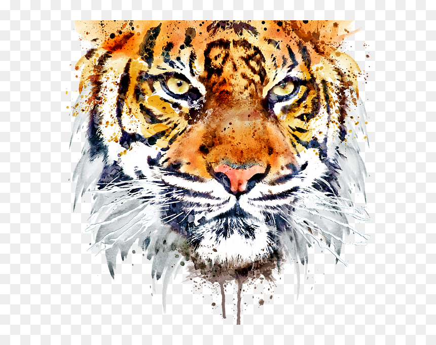 Tiger Painting Black And White, HD Png Download - bengal tiger png