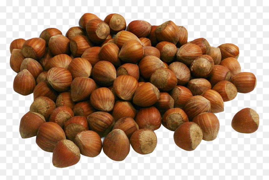 Hazelnut - Hazelnut In Png, Transparent Png - hazelnut png