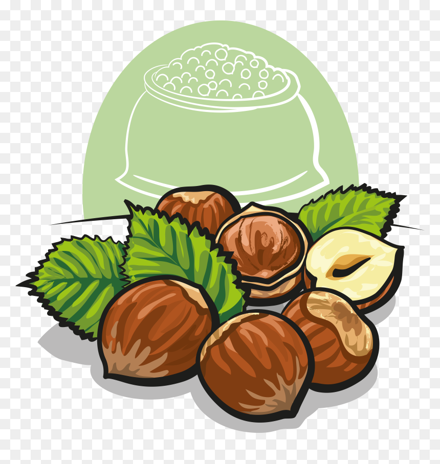 Stock Photography Others Transprent, HD Png Download - hazelnut png