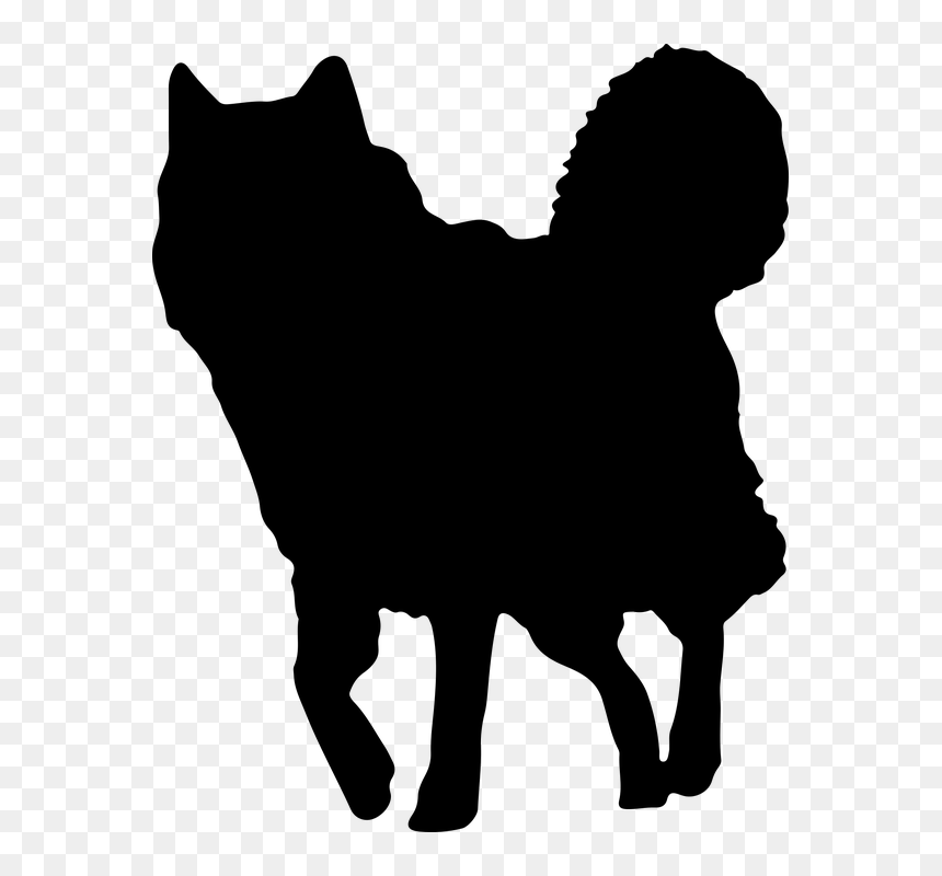 Dog, Dog Silhouette, Alaskan Malamute, HD Png Download - sitting dog silhouette png