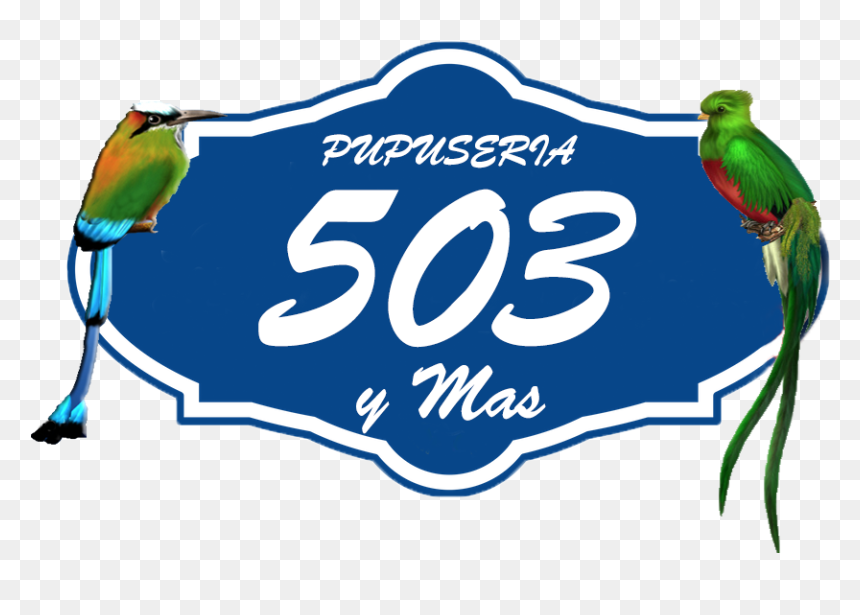 Parakeet, HD Png Download - pupusas png