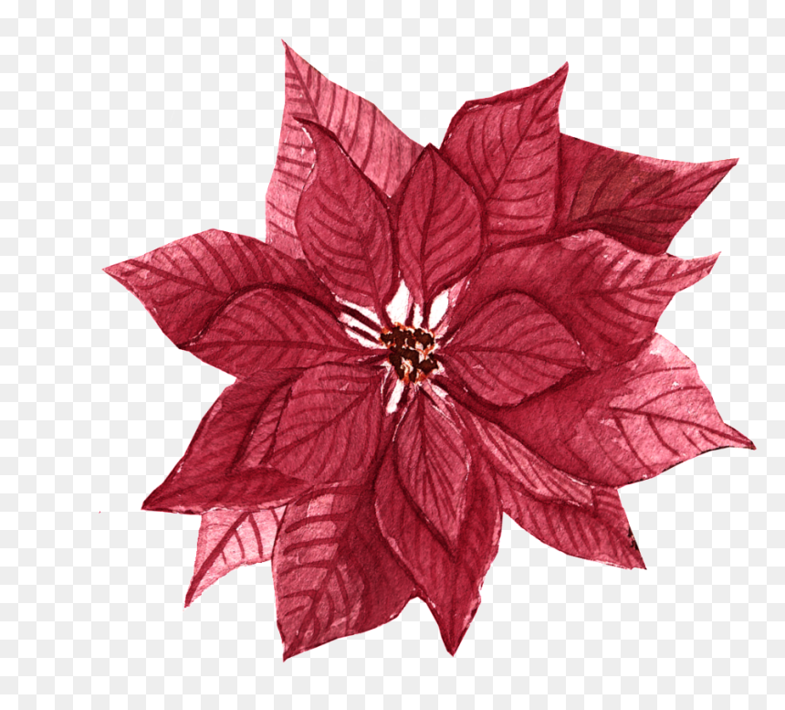 Red Maple Png - Red Maple, Transparent Png - red maple png
