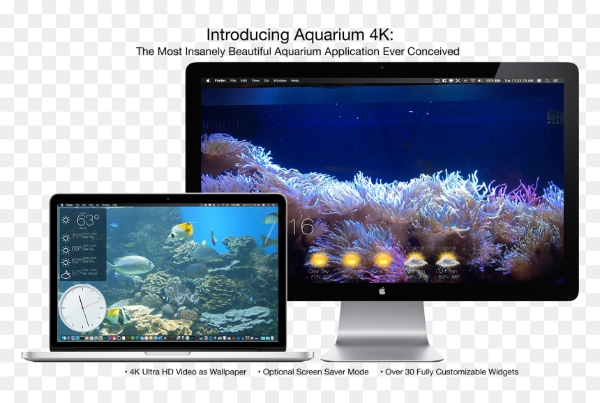 Aquarium 4k Live Wallpaper 1.0 1 Mac, HD Png Download - 4k png wallpaper