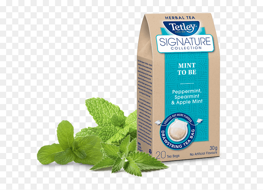 Transparent Spearmint Png - Carton, Png Download - marilyn monroe signature png