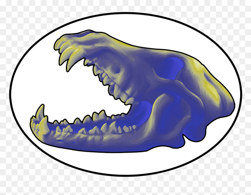 黑 松, HD Png Download - wolf skull png