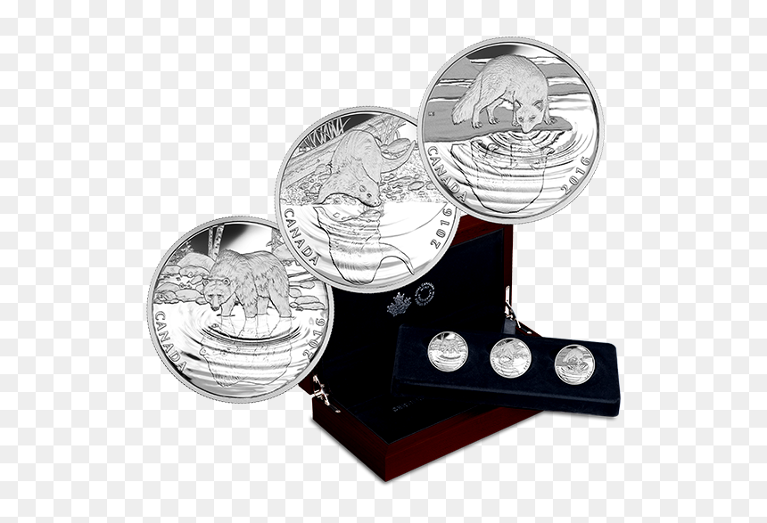 Coin, HD Png Download - pinterest button png