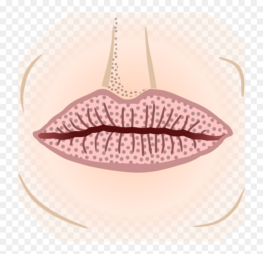 Eyelash,mouth,lip - Drawing, HD Png Download - lips outline png