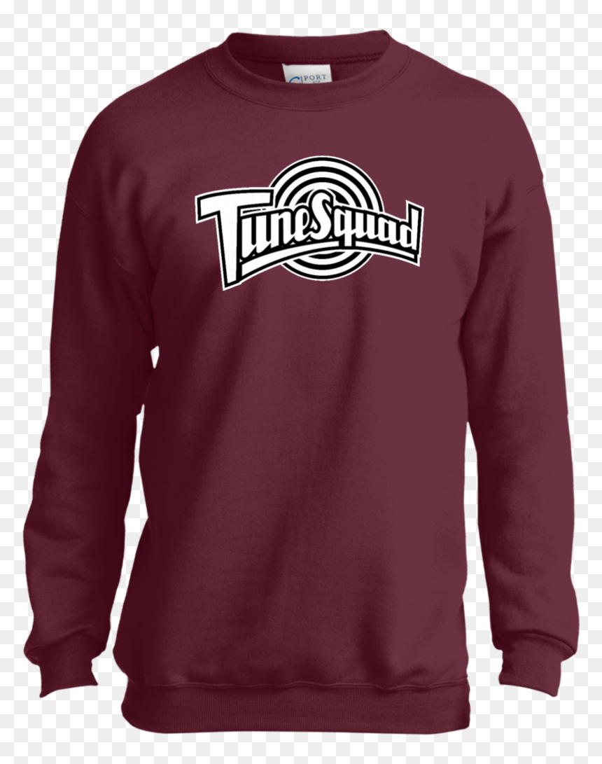 Tune Squad Black Youth Sweatshirt Sweatshirts - Your Dad My Dad, HD Png Download - tune squad logo png