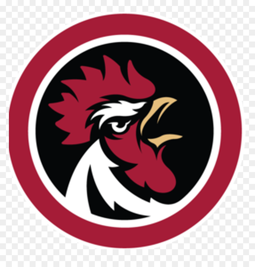 An Interview With Former Gamecock Baseball Player Drew - Big Cock League, HD Png Download - gamecock logo png