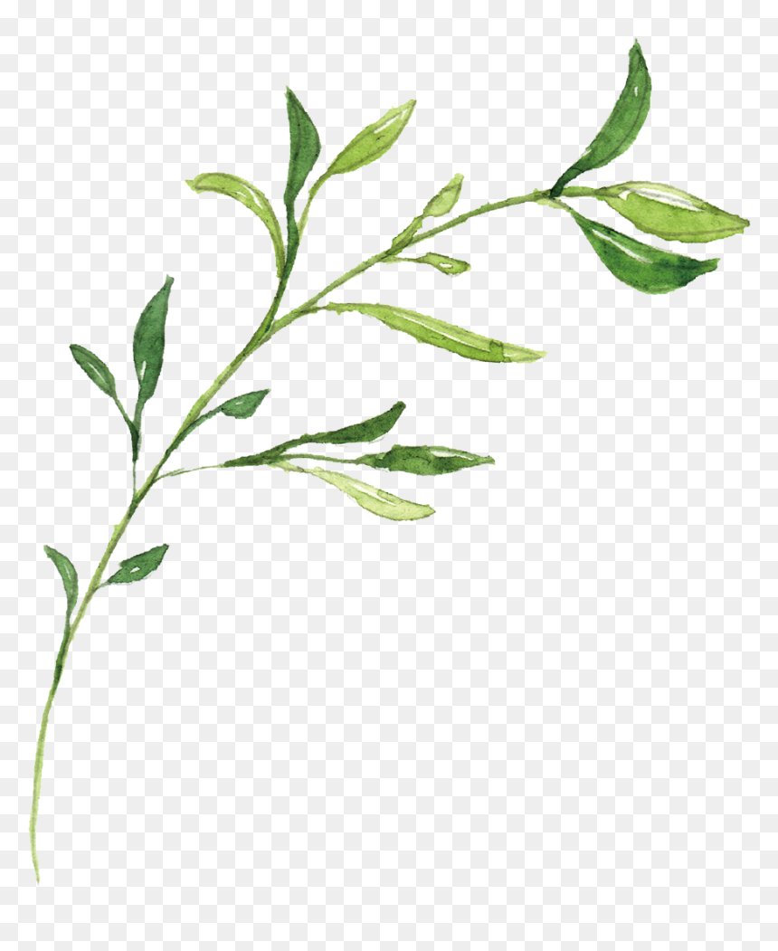 Clip Art Hand Drawn Leaves - Hand Drawn Leaf Png, Transparent Png - hand drawn laurel png
