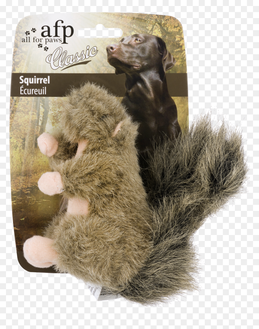 All For Paws, HD Png Download - dog toy png