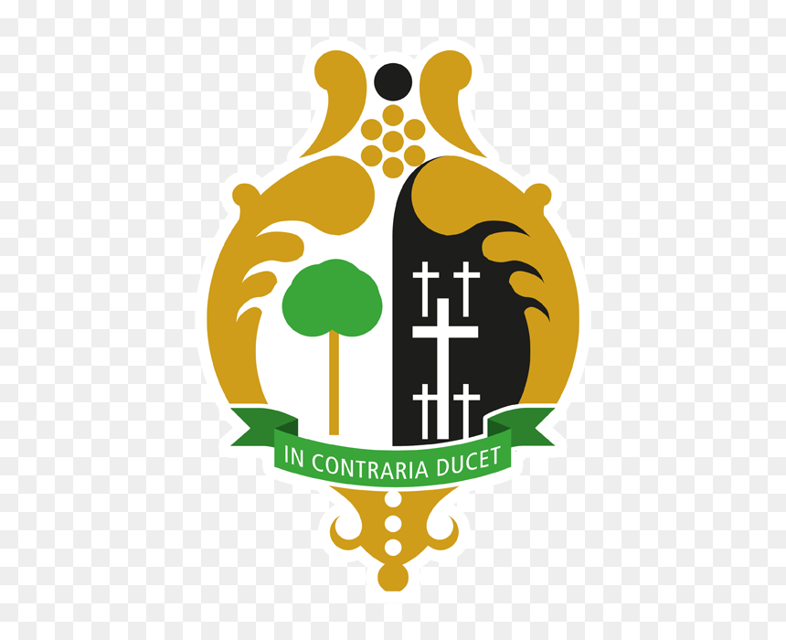 Rugby El Salvador, HD Png Download - escudo de el salvador png