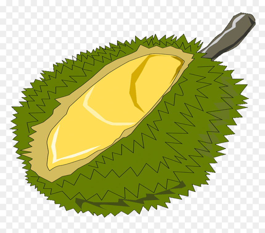 Vector Royalty Free Free Fruits Name - El Salvador Cup Of Excellence, HD Png Download - escudo de el salvador png