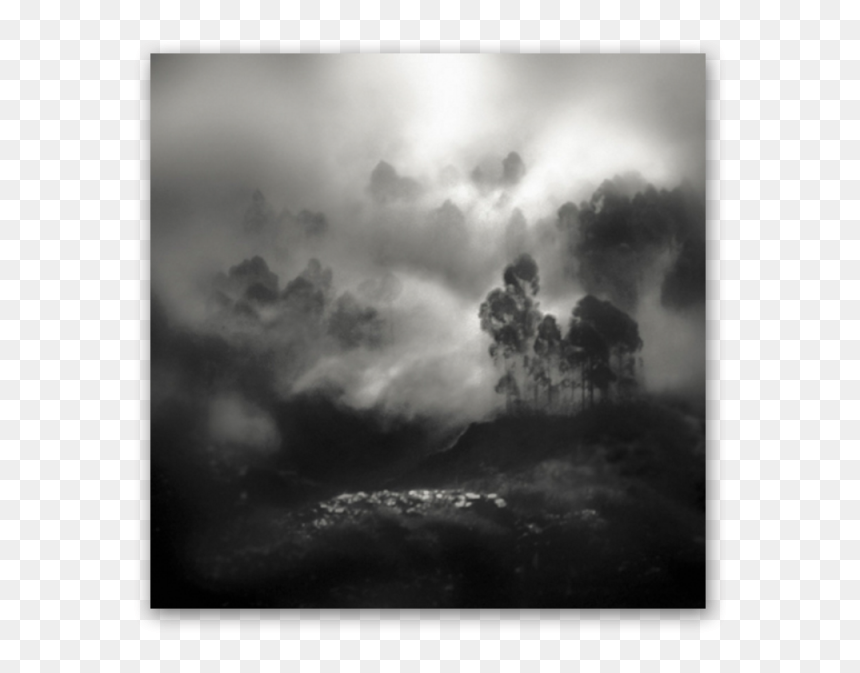 Foggy - Photograph, HD Png Download - foggy png