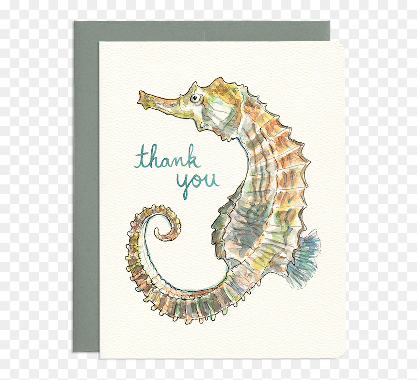 Seahorse Thank You - Northern Seahorse, HD Png Download - sea horse png