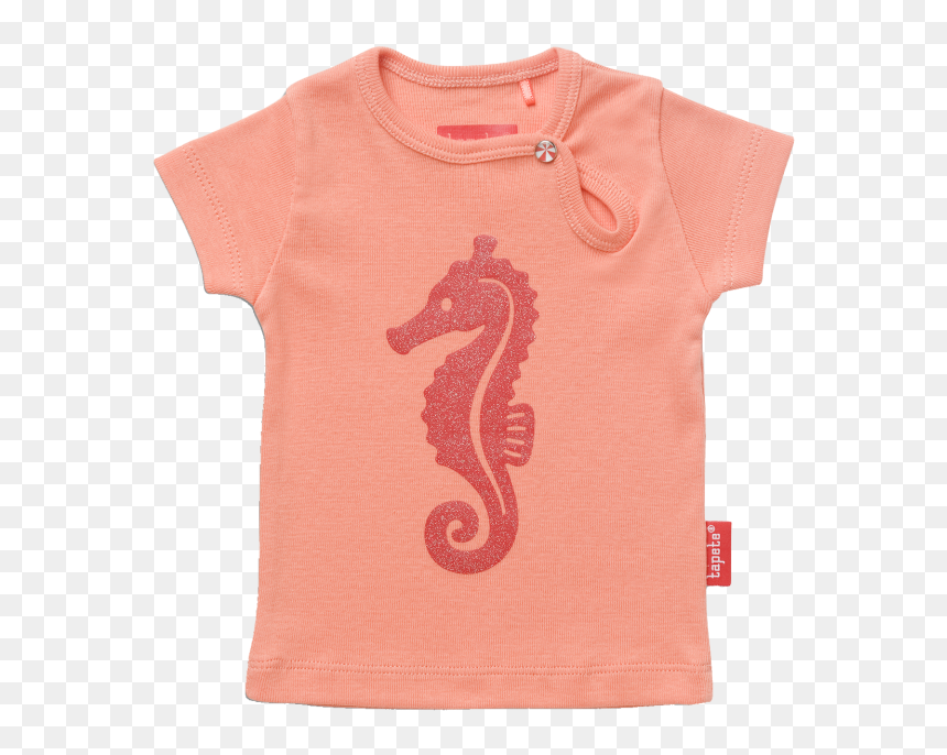 Tapete Ava Sea Horse - Northern Seahorse, HD Png Download - sea horse png