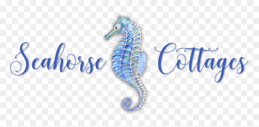 Northern Seahorse, HD Png Download - sea horse png