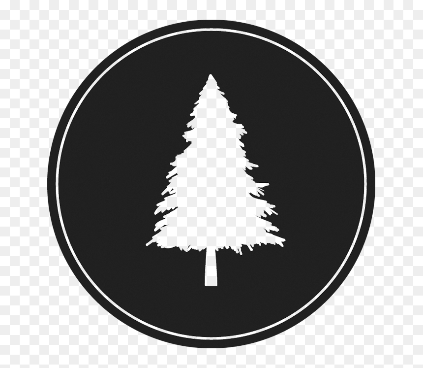 Lplogotreetrans - Lone Pine Brewing, HD Png Download - dark tree png