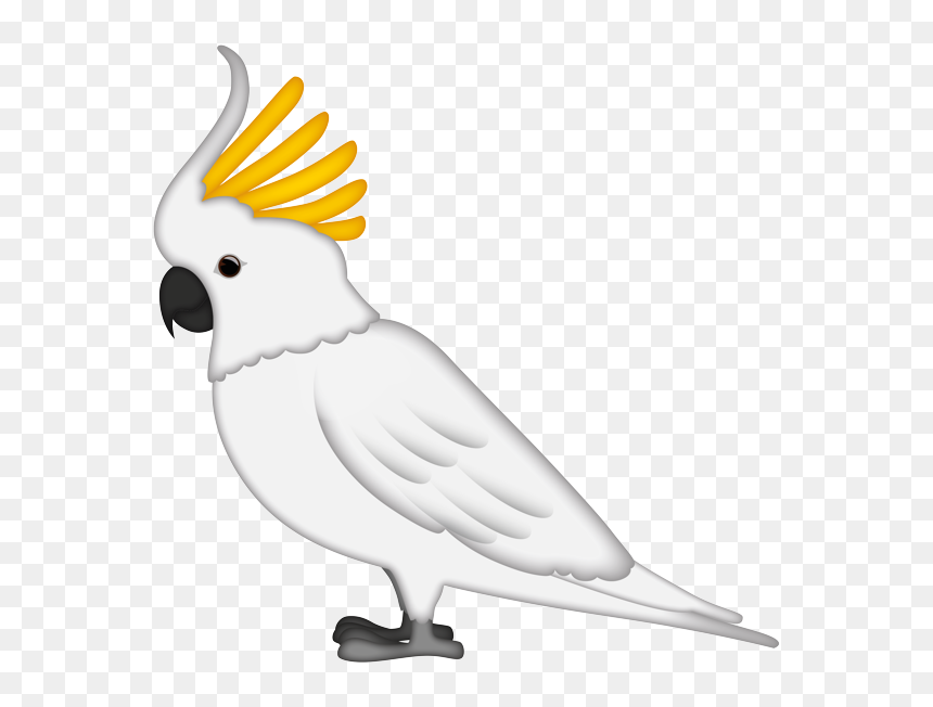 Sulphur-crested Cockatoo, HD Png Download - cockatoo png