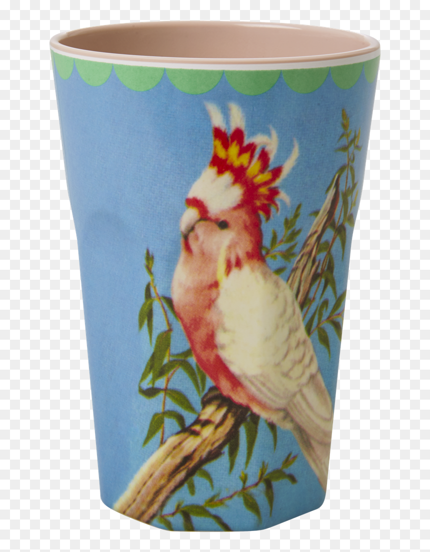 Rice Bekers, HD Png Download - cockatoo png