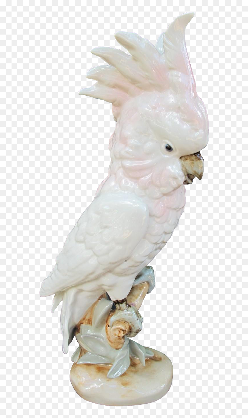 Life Sized Royal Dux Cockatoo Figurine - Cockatoo, HD Png Download - cockatoo png
